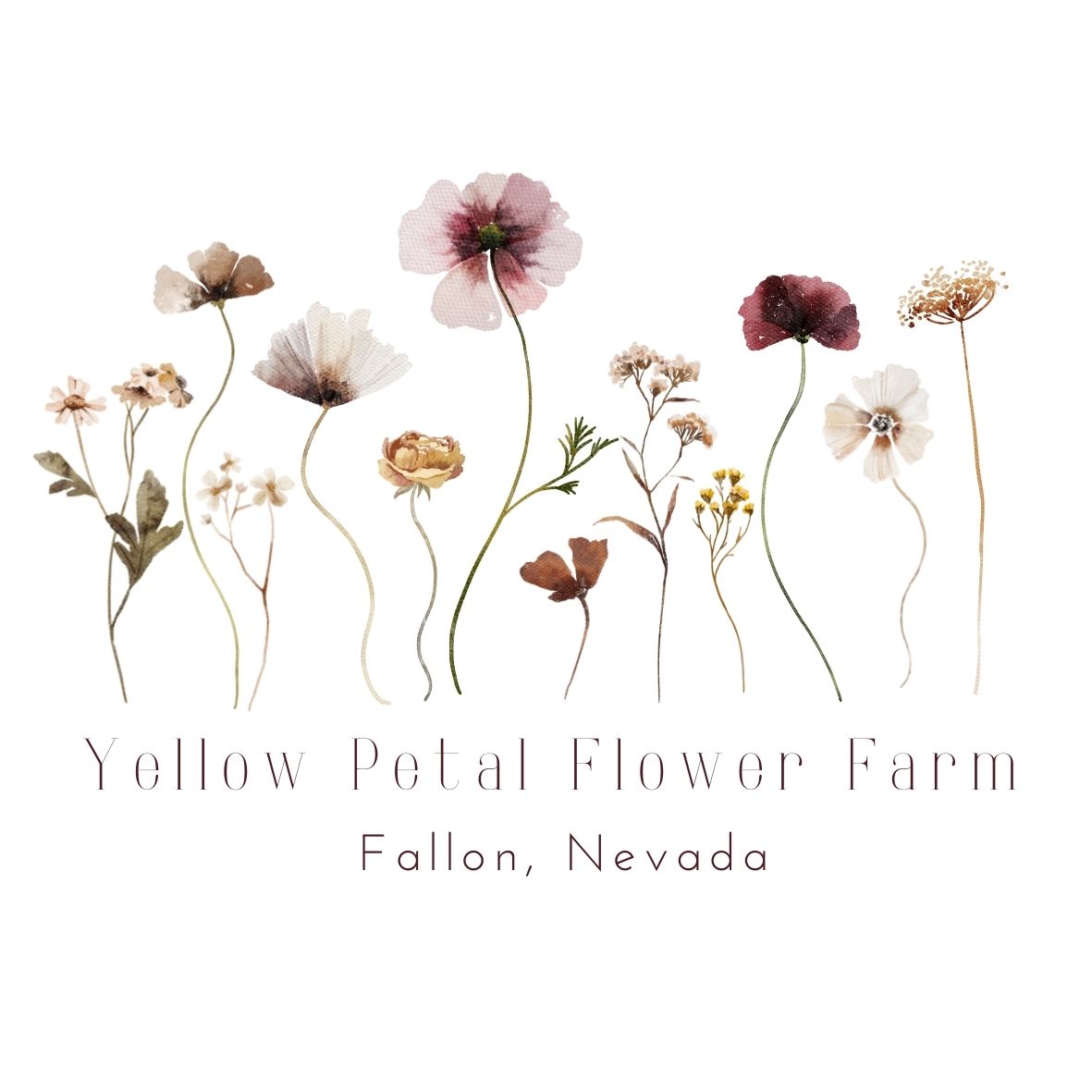 Yellow Petal Flower Farm